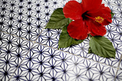 Ukázka sortimentu - foto