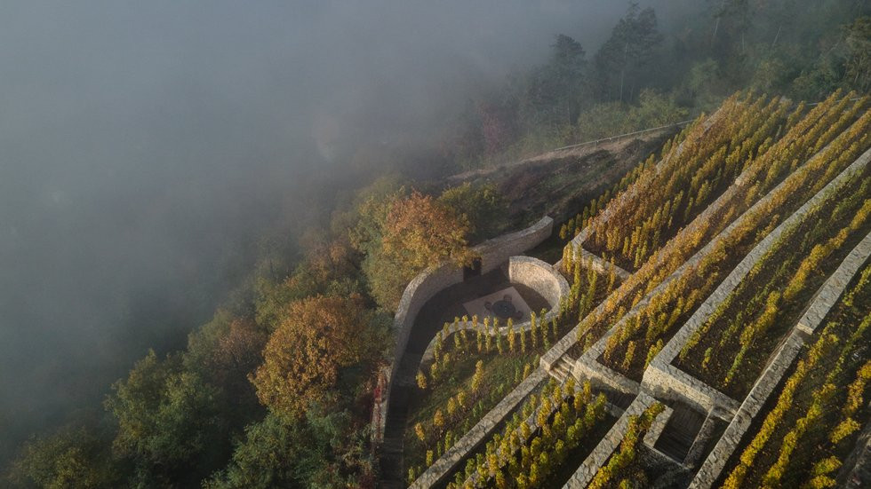 Terasovitý vinohrad v pražské Troji. Marco Maio Architects, realizace 2022