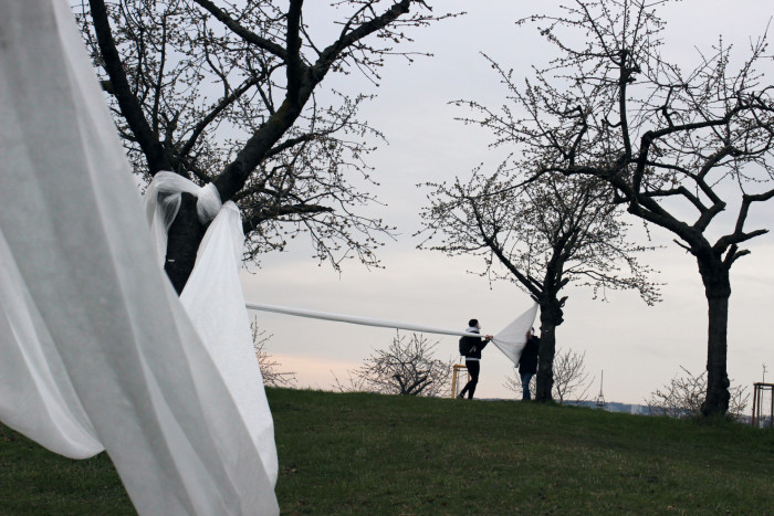 Landartová instalace Třešňovka, Tomáš Kodet.