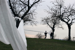 Landartová instalace Třešňovka, Tomáš Kodet.
