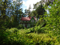 Tradiční finský domek