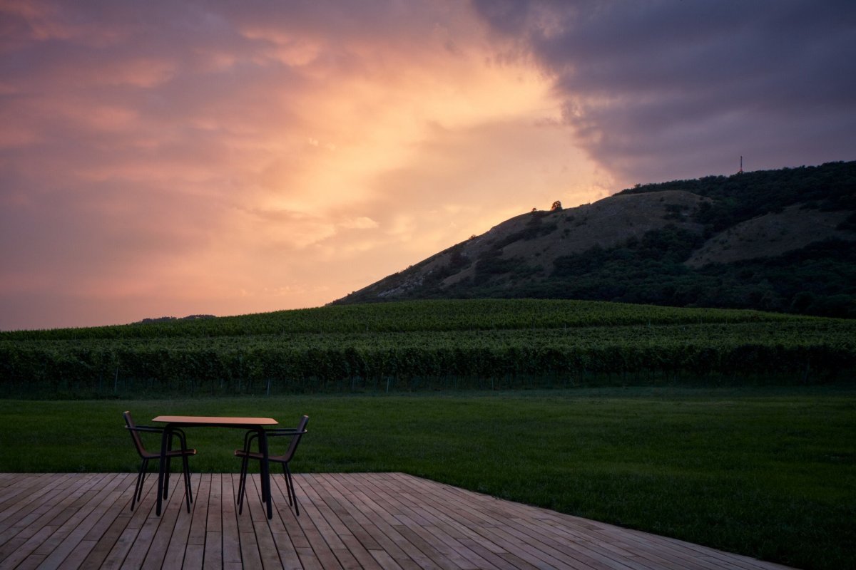 Nový wine bar Reisten v Pavlově od studia ORA