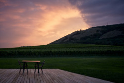 Nový wine bar Reisten v Pavlově od studia ORA