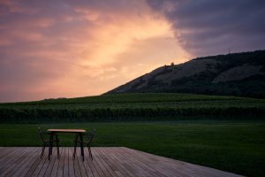 Nový wine bar Reisten v Pavlově od studia ORA
