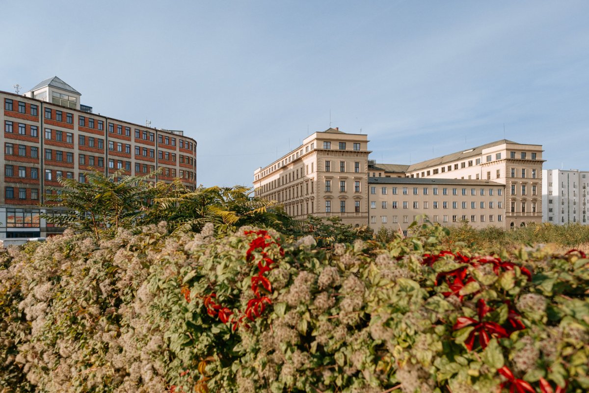 Radnice města Brno