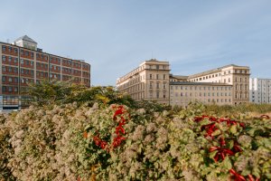 Radnice města Brno