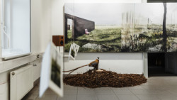 Architektka Blanka Solár vystavuje v Galerii Mini na brněnské Fakultě architektury expozici Hřbitov bez hrobů; pietní biocentrum?