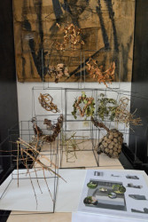 Prostorová kompozice z přírodnin vystavené na chodbě školy – foto