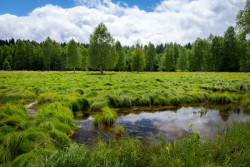 Nadace Partnerství zahájila přihlašování do pátého ročníku soutěže Adapterra Awards