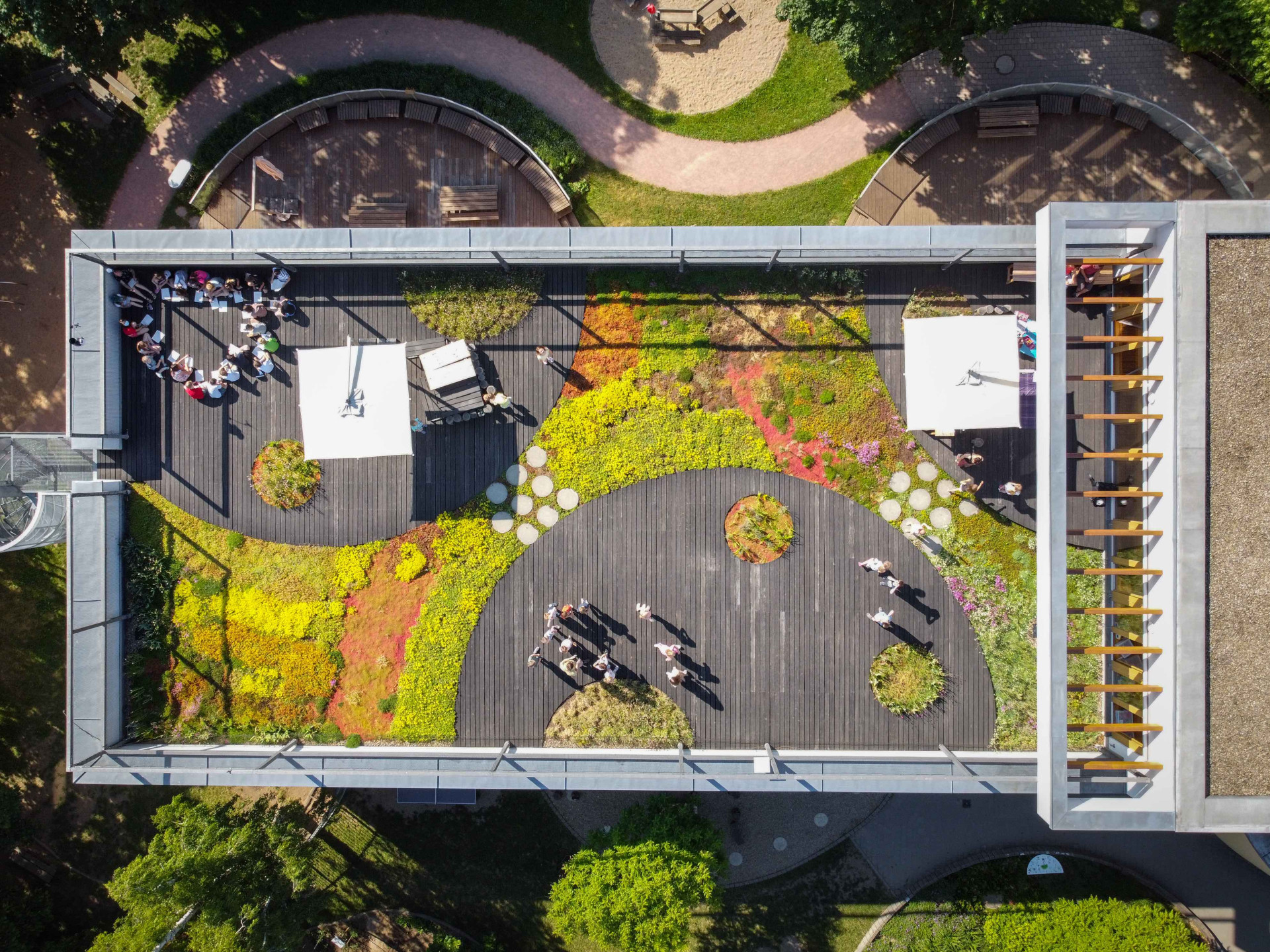 Zelená střecha na budově školy brání jejímu přehřívání v letních měsících a zároveň slouží jako učebna