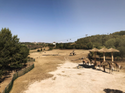 Nová lanová dráha v Praze má do roku 2025 spojit Podbabu s Bohnicemi.