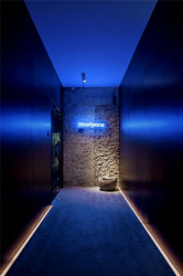 Bloom Design, kanceláře Blue Light, foto