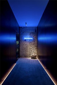 Bloom Design, kanceláře Blue Light, foto