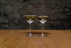 ORA, Vinný sklep U Modráka – foto