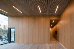 Vstupní prostory  (V Team, dům Haut)