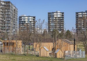 Lesní třída Větvíci na Žižkově od ateliérů Terra Florida a Jasné