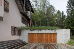 music for the forest, bergmeisterwolf,