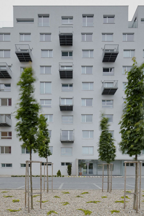 gutgut, Panelák v Rimavskej Sobote - foto