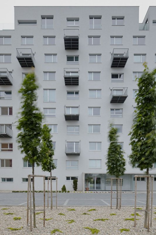 gutgut, Panelák v Rimavskej Sobote - foto