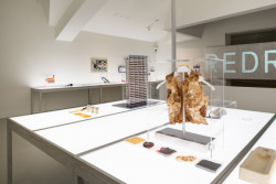 Vitra Design Museum představuje výstavu věnovanou minulosti i budoucnosti plastu