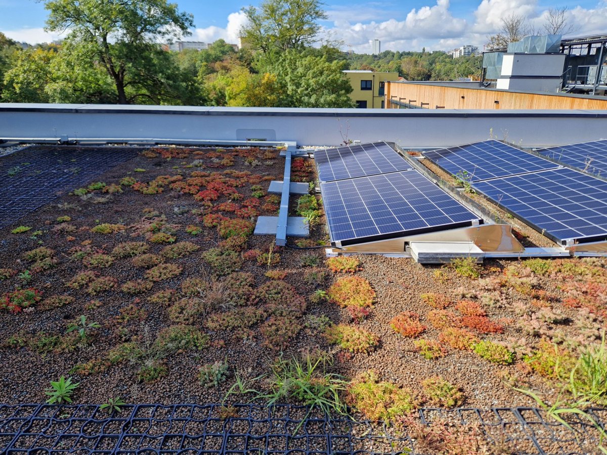 Škola v Českobrodské ulici od ECOTEN: Umístěné jsou na nich fotovoltaické panely