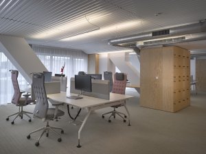 Kancelářské prostory a showroom developerské společnosti Satpo, Daniela Polubědovová