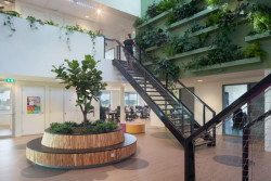 Vysoká školy aplikovaných věd Aeres v Almere, BDG Architecten: Použitá podlaha Marmoleum je klimaticky pozitivní od vzniku po expedici bez kompenzací