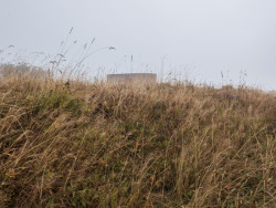 Informační kiosek Piškot, Jan Kahránek a Veronika Suchá