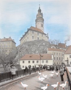 UNES-CO, Kateřina Šedá