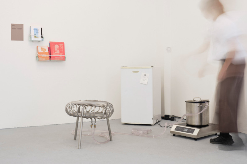 Home Discomforts, Galerie VI PER, 2026