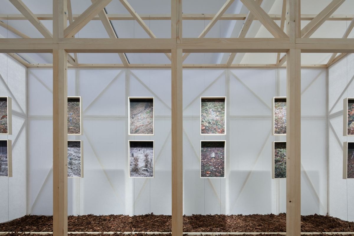 Mjölk architekti, výstava Dělat les