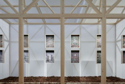 Mjölk architekti, výstava Dělat les