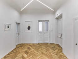 Byt v Praze na Vinohradech, 0,5 Studio