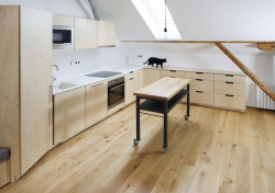 Neuhäusl Hunal, rekonstrukce podkrovního bytu, foto