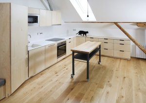 Neuhäusl Hunal, rekonstrukce podkrovního bytu, foto