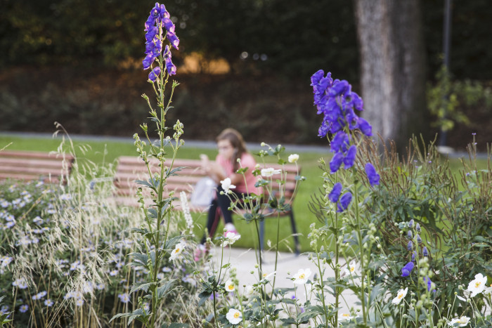 Husův park v Praze-Čakovicích, Land05. Foto: Filip Jandourek