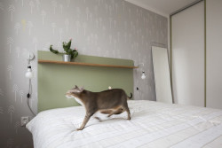 Rekonstrukce bytu v Dejvicích, ložnice