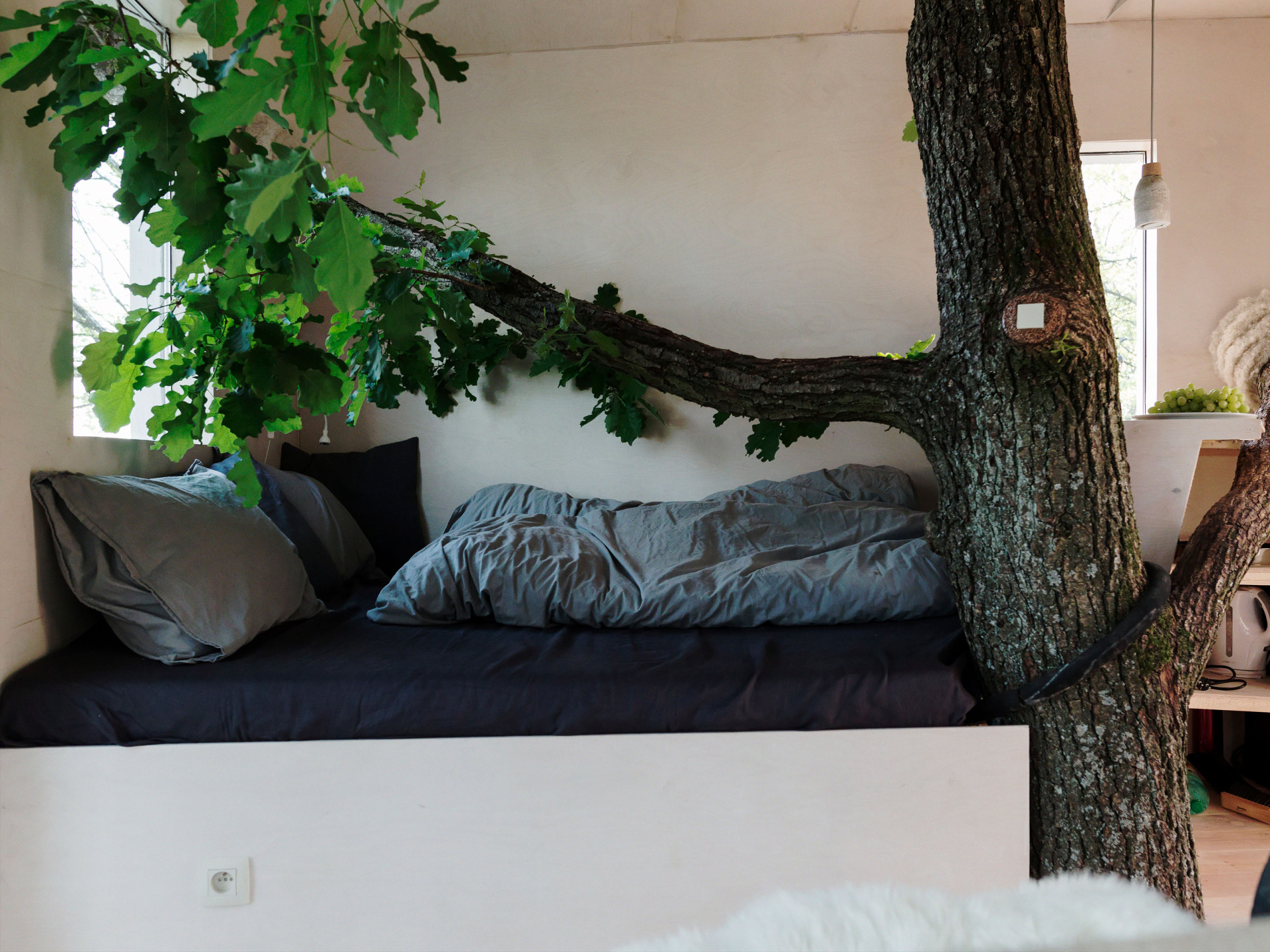 Přespat v Dubodomě mohou až čtyři lidé. (Dubodom od Pavola Šišky ve Svätém Juru)