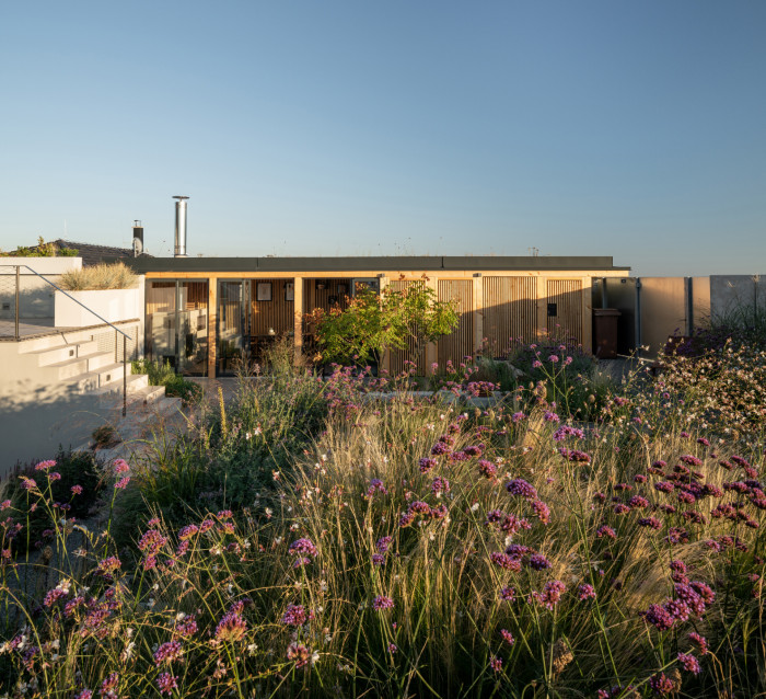 Rodinný dům s atriem, SENAA architekti / Václav Navrátil, Jan Sedláček