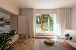 Rekonstrukce přízemního bytu, What architects