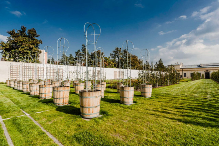 Architekti DRNH, NCZK, Květná zahrada v Kroměříži – foto