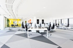 VRTIŠKA • ŽÁK, Interiéry společnosti Avast – foto