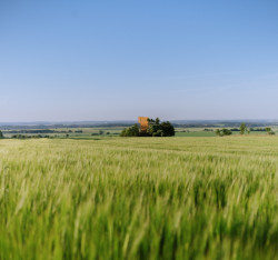 Útulna 2.0 od Jana Tyrpekla