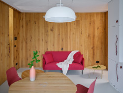 Obkladové panely stěn jsou ze slisovaných podlahových lamel. (Bee House; Petr Novák)