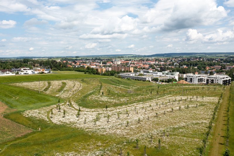 Hlavní princip - modelace terénu, aby zadržoval vodu.