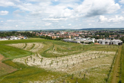 Hlavní princip - modelace terénu, aby zadržoval vodu.