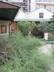 Sídlo ateliéru v coworkingu Abraxa - zahradu navrhli RSL