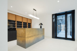 Recepce (Villa Fitz v Rokycanech, Luni architekti)