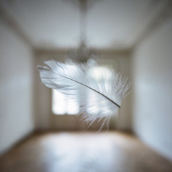 Obnova lázeňského domu Zlatý Beránek v Karlových Varech, IN-FORM-ARCHITEKTI