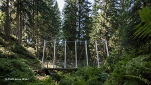 Počinem veřejného investora je realizace lávek a útulen, jejichž zadavatelem byla Správa KRNAP a realizátorem ČVUT